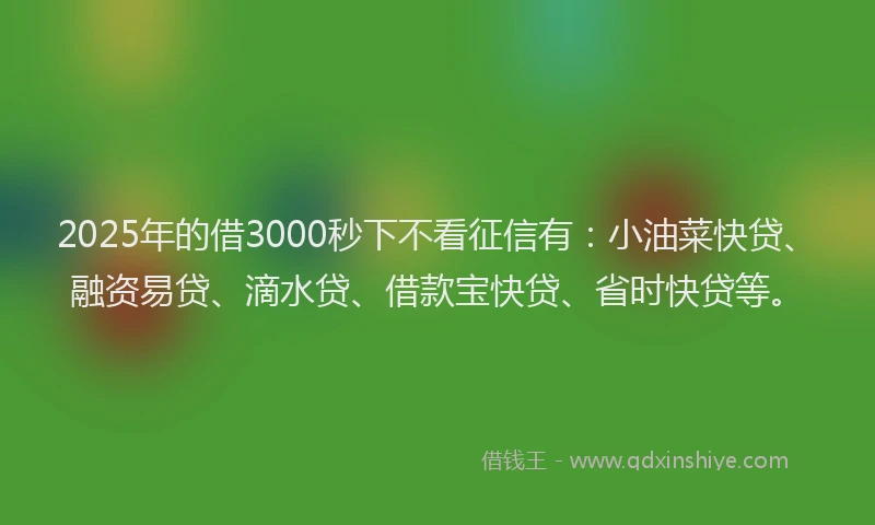 2025年的借3000秒下不看征信有：小油菜快贷、融资易贷、滴水贷、借款宝快贷、省时快贷等。