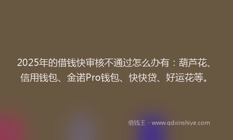 2025年的借钱快审核不通过怎么办有：葫芦花、信用钱包、金诺Pro钱包、快快贷、好运花等。