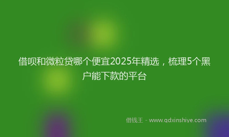 借呗和微粒贷哪个便宜2025年精选，梳理5个黑户能下款的平台