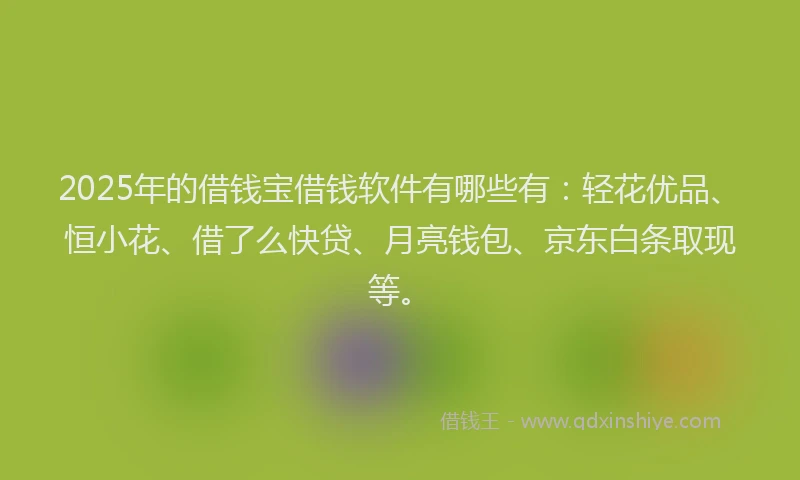 2025年的借钱宝借钱软件有哪些有：轻花优品、恒小花、借了么快贷、月亮钱包、京东白条取现等。