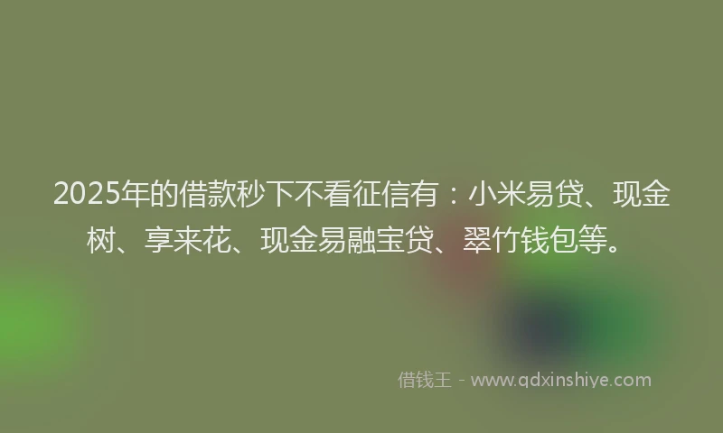 2025年的借款秒下不看征信有：小米易贷、现金树、享来花、现金易融宝贷、翠竹钱包等。