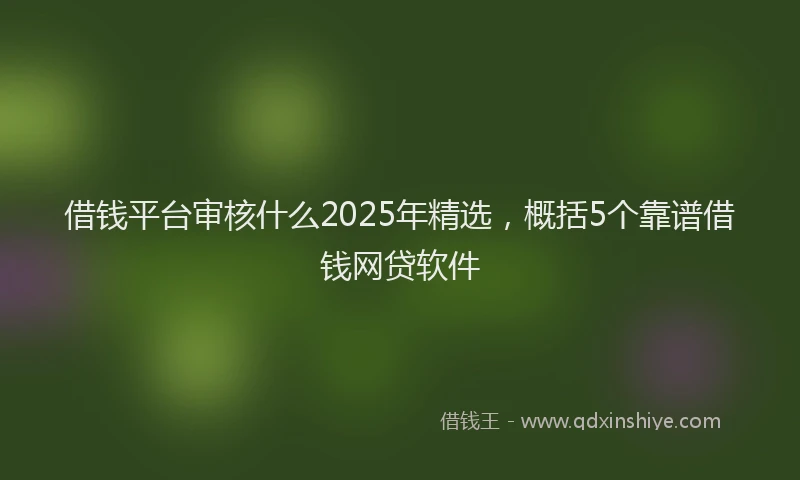 借钱平台审核什么2025年精选，概括5个靠谱借钱网贷软件