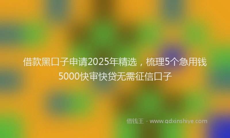 借款黑口子申请2025年精选，梳理5个急用钱5000快审快贷无需征信口子