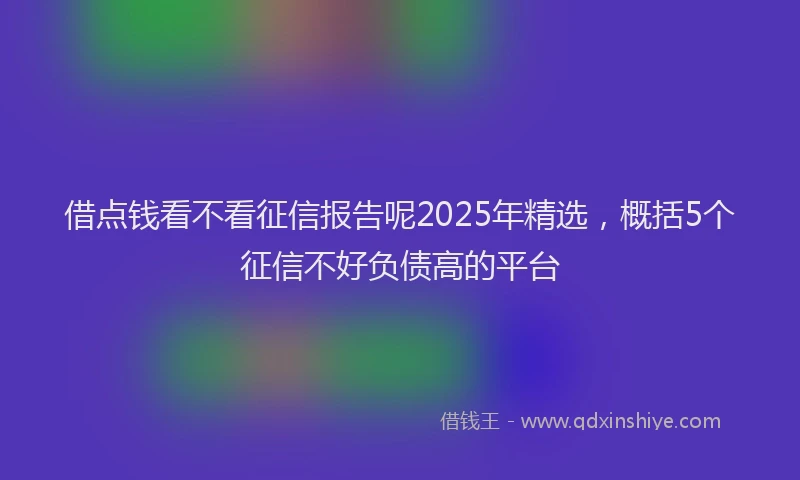 借点钱看不看征信报告呢2025年精选，概括5个征信不好负债高的平台