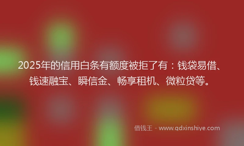 2025年的信用白条有额度被拒了有：钱袋易借、钱速融宝、瞬信金、畅享租机、微粒贷等。