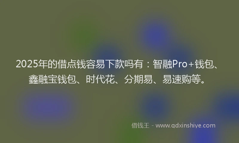 2025年的借点钱容易下款吗有：智融Pro+钱包、鑫融宝钱包、时代花、分期易、易速购等。