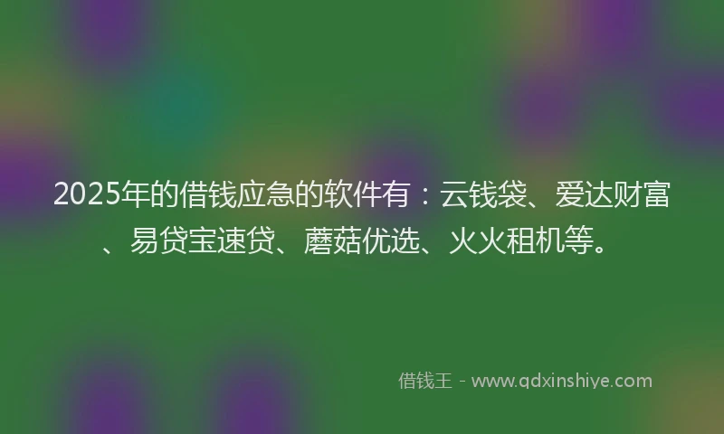 2025年的借钱应急的软件有：云钱袋、爱达财富、易贷宝速贷、蘑菇优选、火火租机等。