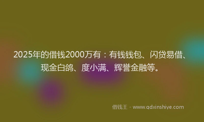 2025年的借钱2000万有：有钱钱包、闪贷易借、现金白鸽、度小满、辉誉金融等。