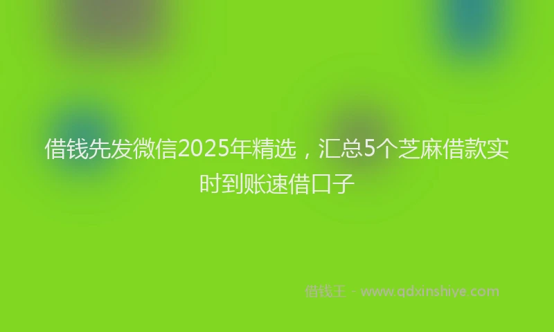 借钱先发微信2025年精选，汇总5个芝麻借款实时到账速借口子