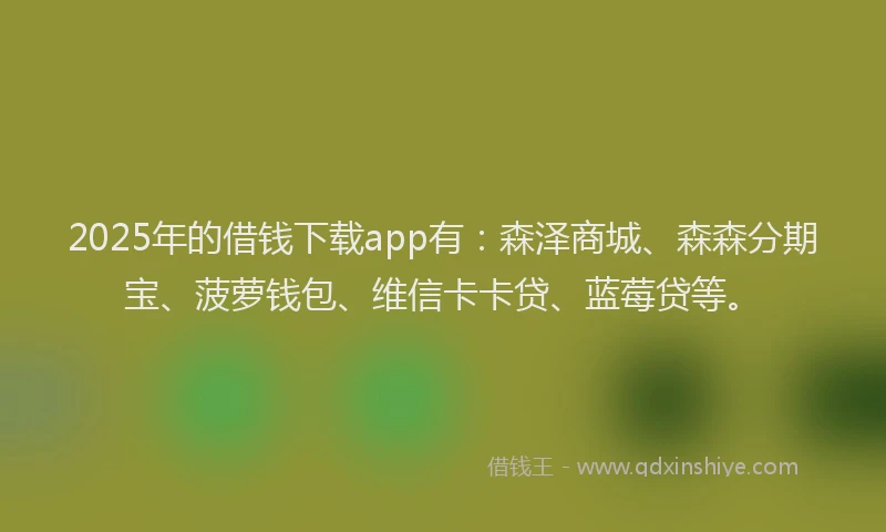 2025年的借钱下载app有：森泽商城、森森分期宝、菠萝钱包、维信卡卡贷、蓝莓贷等。