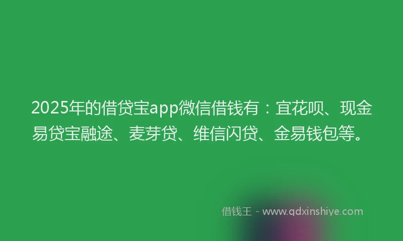 2025年的借贷宝app微信借钱有：宜花呗、现金易贷宝融途、麦芽贷、维信闪贷、金易钱包等。