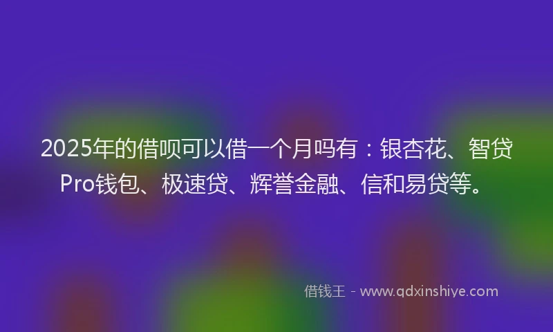 2025年的借呗可以借一个月吗有：银杏花、智贷Pro钱包、极速贷、辉誉金融、信和易贷等。