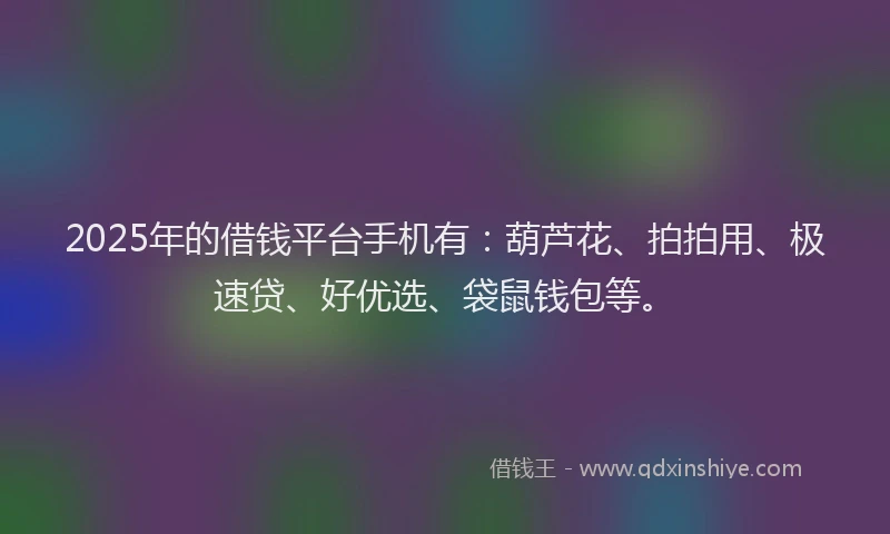 2025年的借钱平台手机有：葫芦花、拍拍用、极速贷、好优选、袋鼠钱包等。