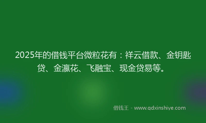 2025年的借钱平台微粒花有：祥云借款、金钥匙贷、金瀛花、飞融宝、现金贷易等。