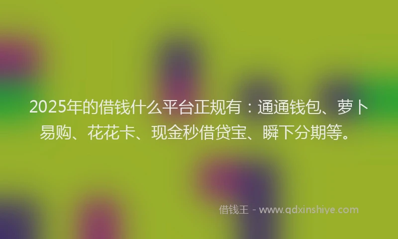 2025年的借钱什么平台正规有：通通钱包、萝卜易购、花花卡、现金秒借贷宝、瞬下分期等。