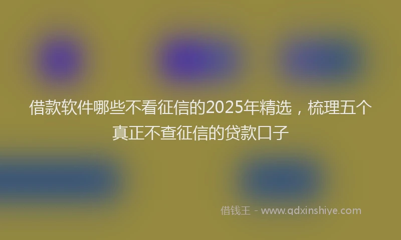借款软件哪些不看征信的2025年精选，梳理五个真正不查征信的贷款口子
