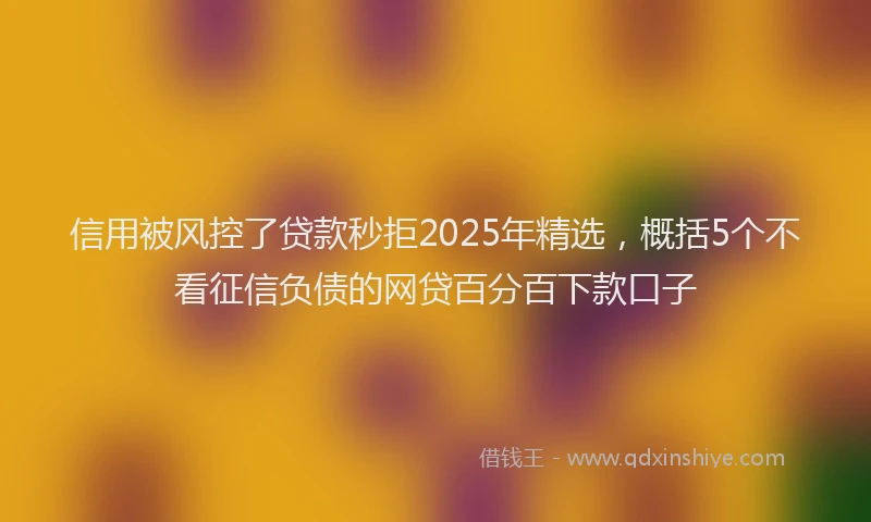 信用被风控了贷款秒拒2025年精选，概括5个不看征信负债的网贷百分百下款口子
