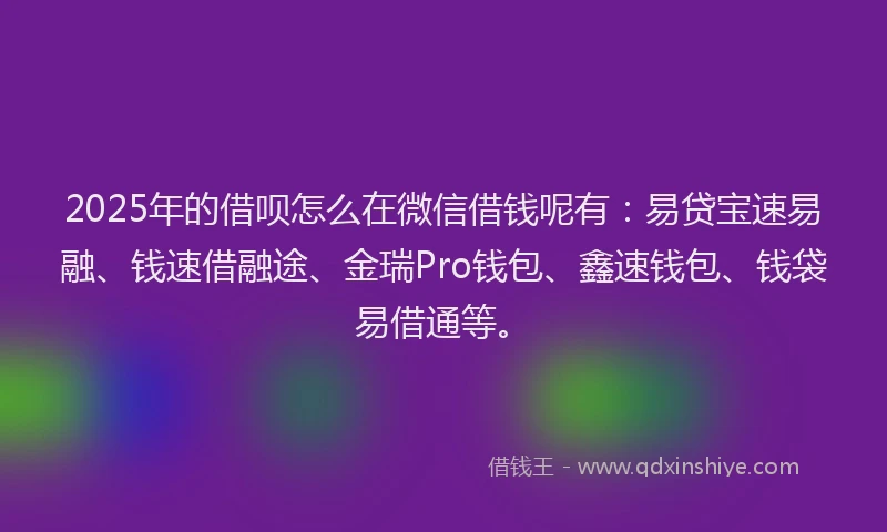 2025年的借呗怎么在微信借钱呢有：易贷宝速易融、钱速借融途、金瑞Pro钱包、鑫速钱包、钱袋易借通等。