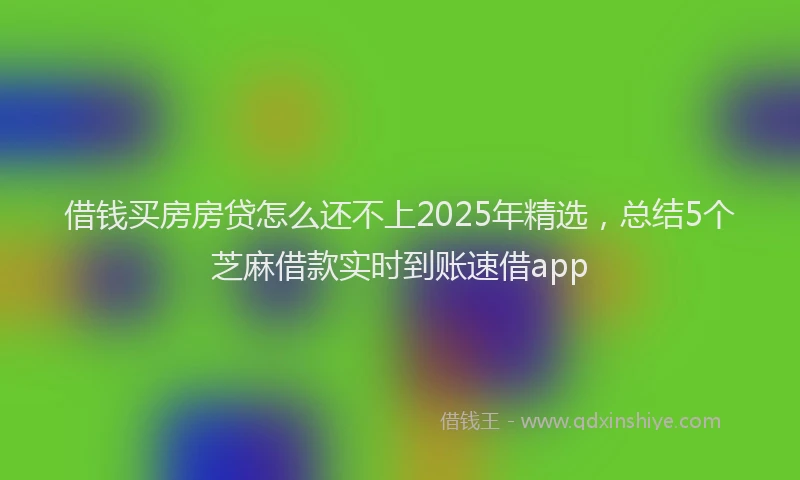 借钱买房房贷怎么还不上2025年精选，总结5个芝麻借款实时到账速借app