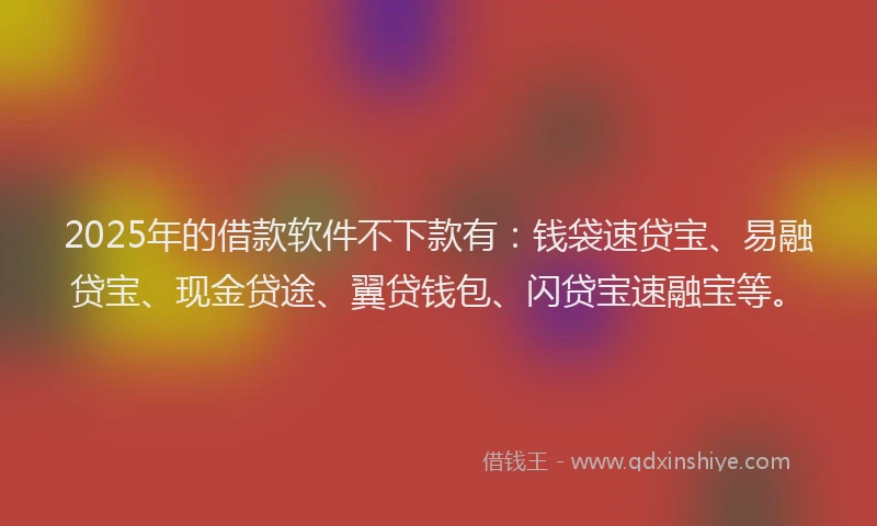 2025年的借款软件不下款有：钱袋速贷宝、易融贷宝、现金贷途、翼贷钱包、闪贷宝速融宝等。