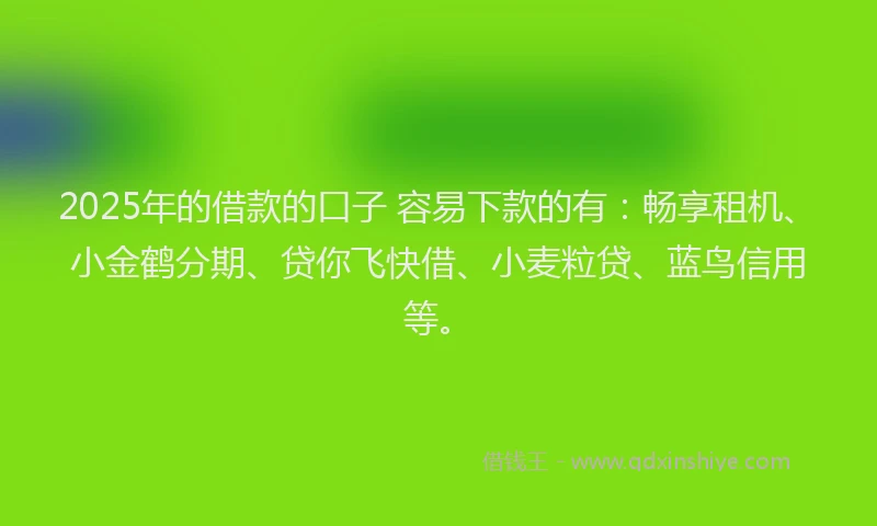 2025年的借款的口子 容易下款的有:畅享租机、小金鹤分期、贷你飞快借、小麦粒贷、蓝鸟信用等。