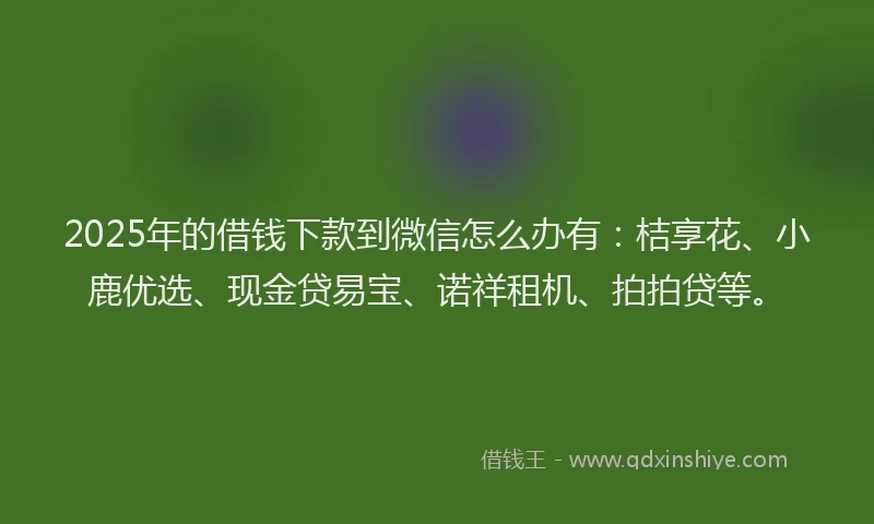 2025年的借钱下款到微信怎么办有:桔享花、小鹿优选、现金贷易宝、诺祥租机、拍拍贷等。