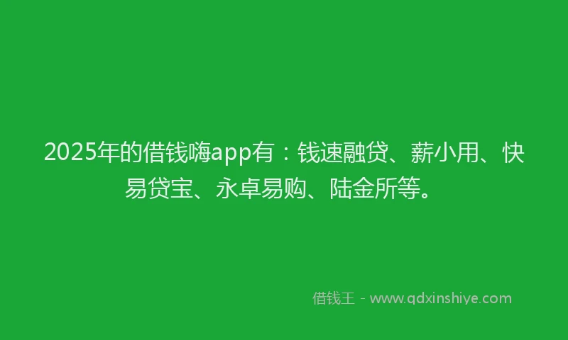 2025年的借钱嗨app有：钱速融贷、薪小用、快易贷宝、永卓易购、陆金所等。