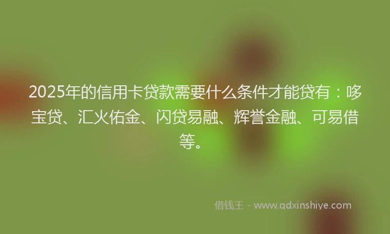 2025年的信用卡贷款需要什么条件才能贷有：哆宝贷、汇火佑金、闪贷易融、辉誉金融、可易借等。