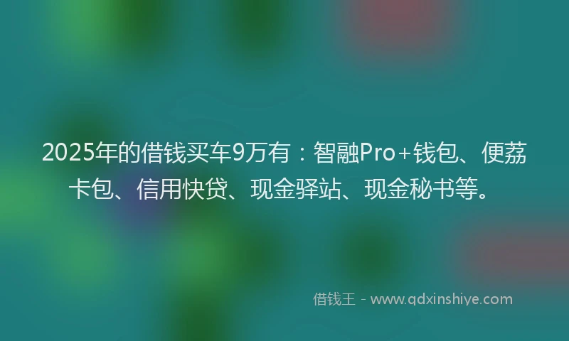 2025年的借钱买车9万有：智融Pro+钱包、便荔卡包、信用快贷、现金驿站、现金秘书等。