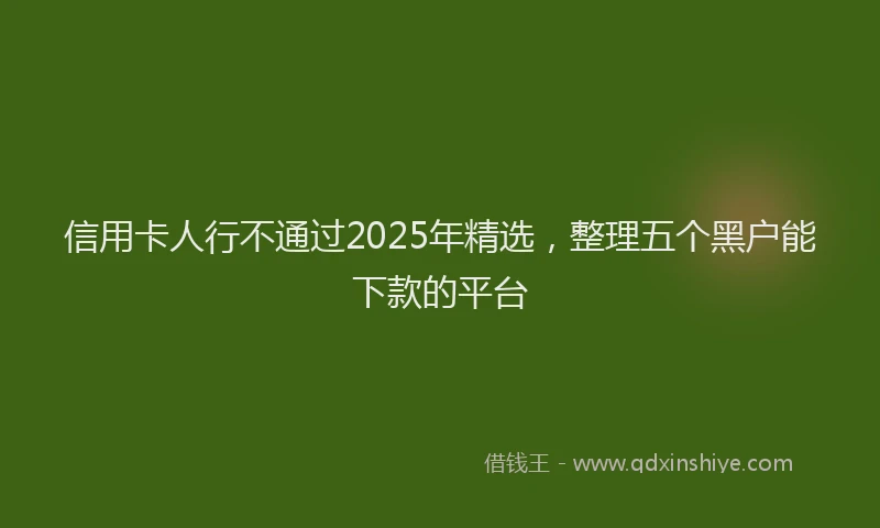 信用卡人行不通过2025年精选，整理五个黑户能下款的平台