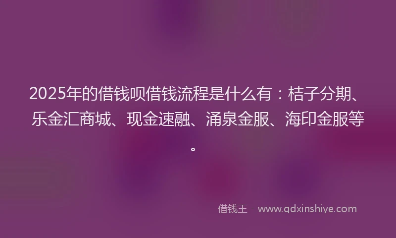 2025年的借钱呗借钱流程是什么有：桔子分期、乐金汇商城、现金速融、涌泉金服、海印金服等。