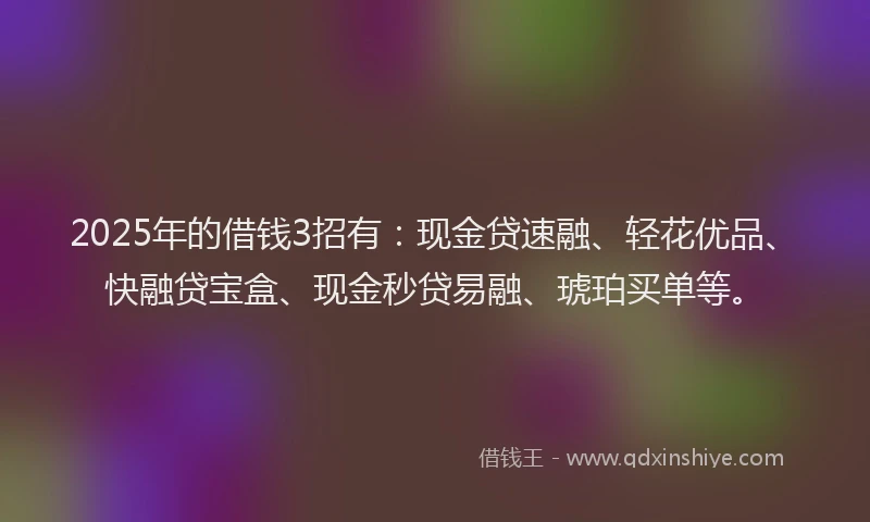 2025年的借钱3招有：现金贷速融、轻花优品、快融贷宝盒、现金秒贷易融、琥珀买单等。