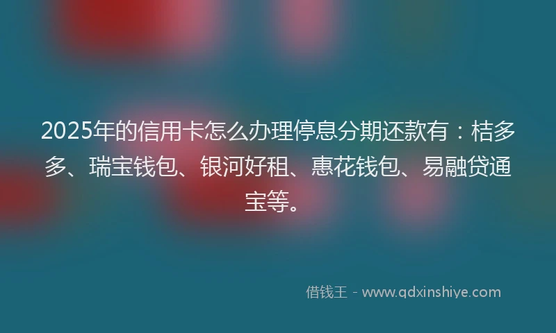 2025年的信用卡怎么办理停息分期还款有：桔多多、瑞宝钱包、银河好租、惠花钱包、易融贷通宝等。