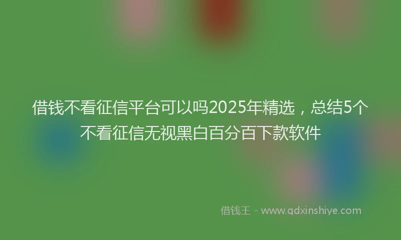 借钱不看征信平台可以吗2025年精选，总结5个不看征信无视黑白百分百下款软件