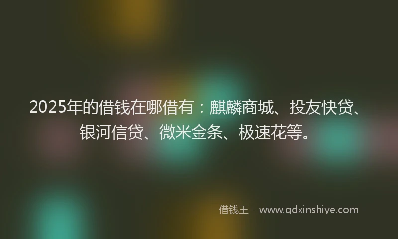2025年的借钱在哪借有：麒麟商城、投友快贷、银河信贷、微米金条、极速花等。