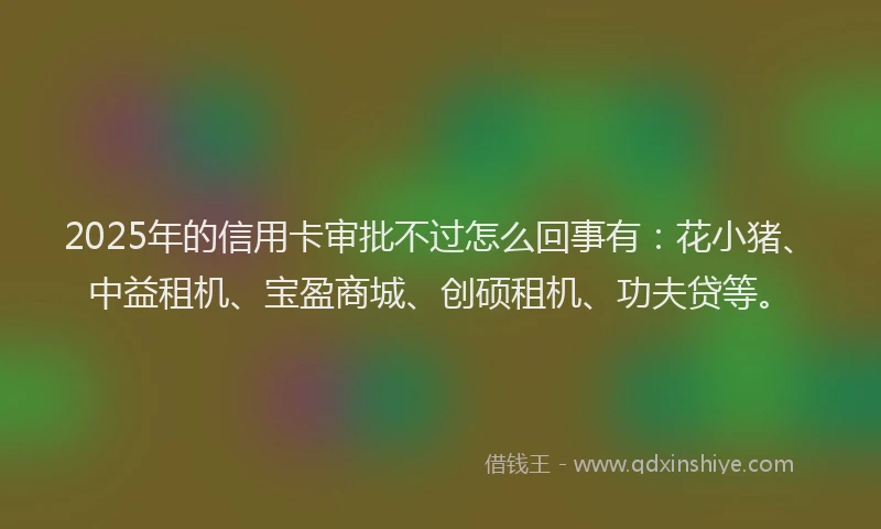 2025年的信用卡审批不过怎么回事有：花小猪、中益租机、宝盈商城、创硕租机、功夫贷等。