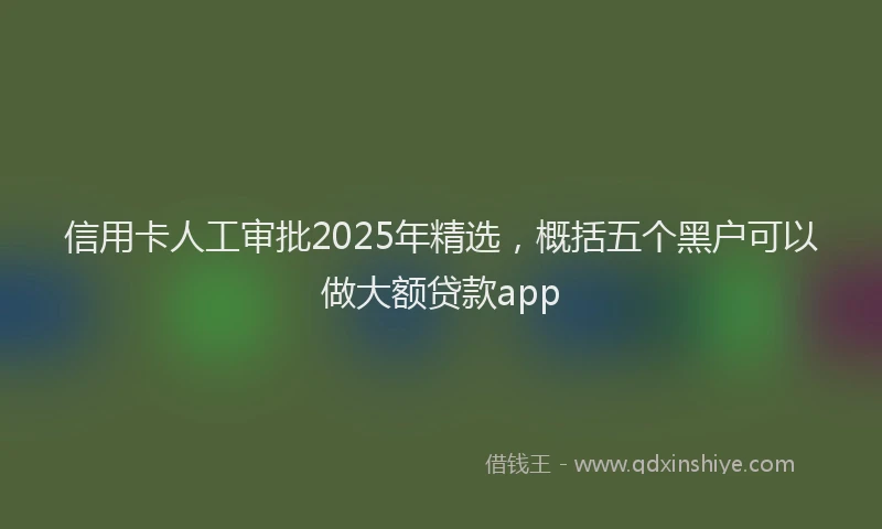 信用卡人工审批2025年精选，概括五个黑户可以做大额贷款app