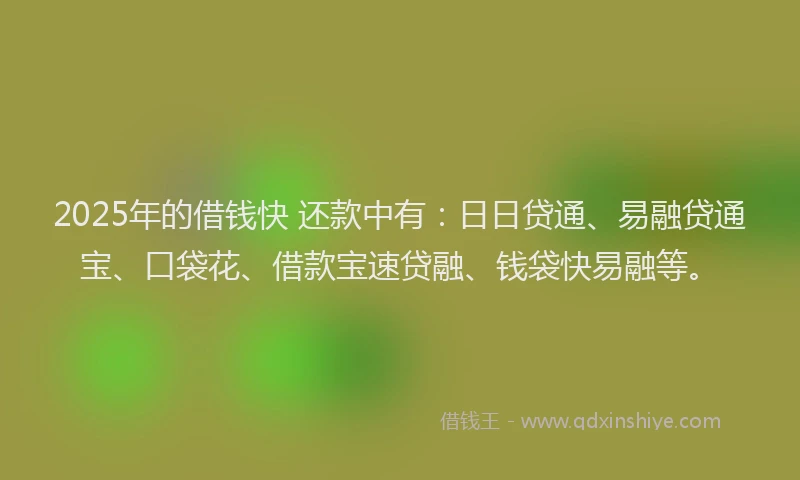 2025年的借钱快 还款中有：日日贷通、易融贷通宝、口袋花、借款宝速贷融、钱袋快易融等。
