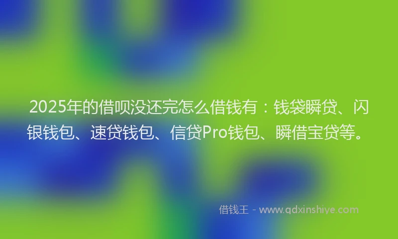 2025年的借呗没还完怎么借钱有：钱袋瞬贷、闪银钱包、速贷钱包、信贷Pro钱包、瞬借宝贷等。
