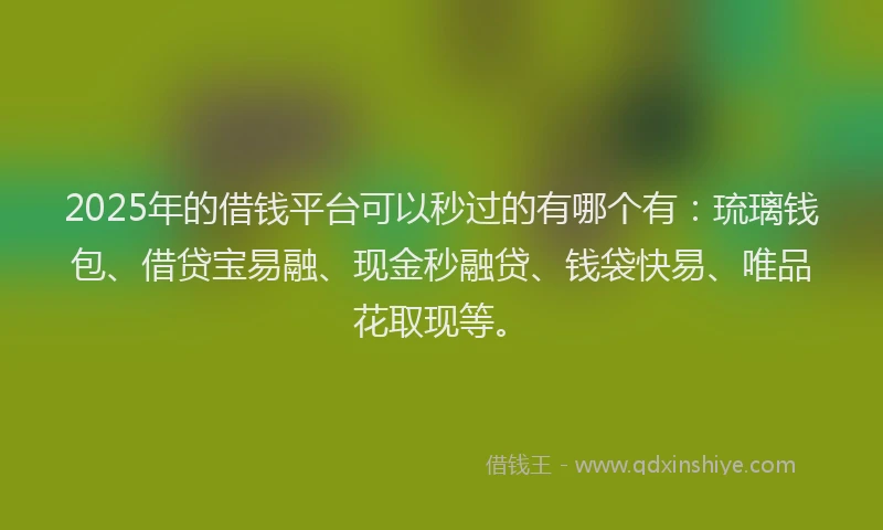 2025年的借钱平台可以秒过的有哪个有:琉璃钱包、借贷宝易融、现金秒融贷、钱袋快易、唯品花取现等。