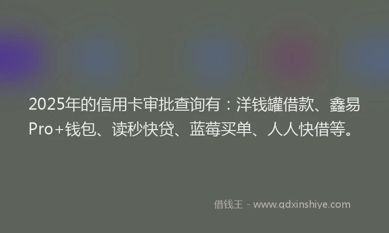 2025年的信用卡审批查询有：洋钱罐借款、鑫易Pro+钱包、读秒快贷、蓝莓买单、人人快借等。