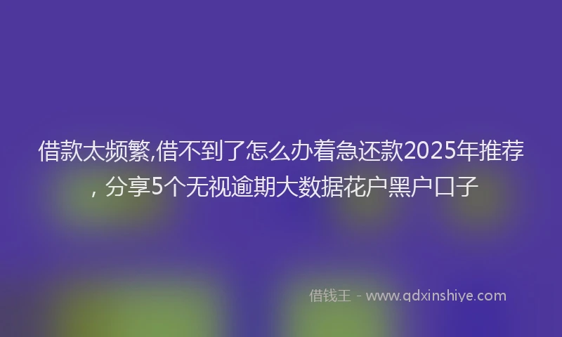 借款太频繁,借不到了怎么办着急还款2025年推荐，分享5个无视逾期大数据花户黑户口子