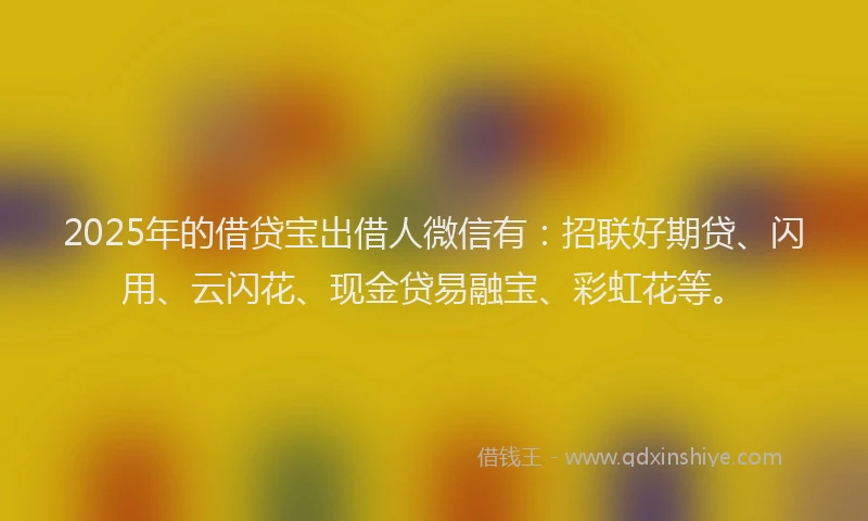 2025年的借贷宝出借人微信有：招联好期贷、闪用、云闪花、现金贷易融宝、彩虹花等。