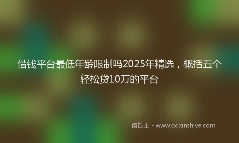 借钱平台最低年龄限制吗2025年精选，概括五个轻松贷10万的平台