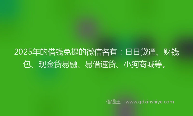 2025年的借钱免提的微信名有：日日贷通、财钱包、现金贷易融、易借速贷、小狗商城等。