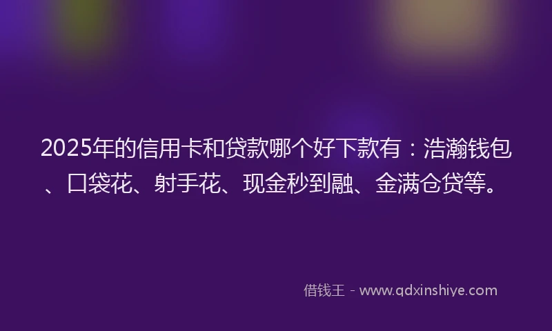 2025年的信用卡和贷款哪个好下款有：浩瀚钱包、口袋花、射手花、现金秒到融、金满仓贷等。
