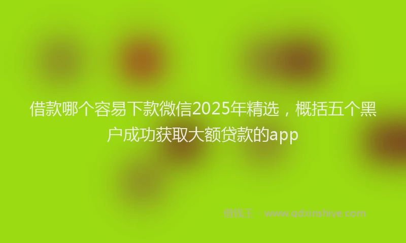 借款哪个容易下款微信2025年精选，概括五个黑户成功获取大额贷款的app