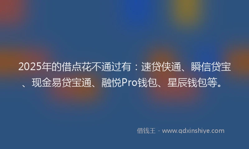 2025年的借点花不通过有：速贷侠通、瞬信贷宝、现金易贷宝通、融悦Pro钱包、星辰钱包等。
