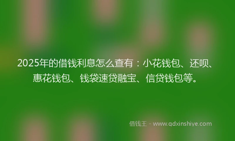 2025年的借钱利息怎么查有：小花钱包、还呗、惠花钱包、钱袋速贷融宝、信贷钱包等。
