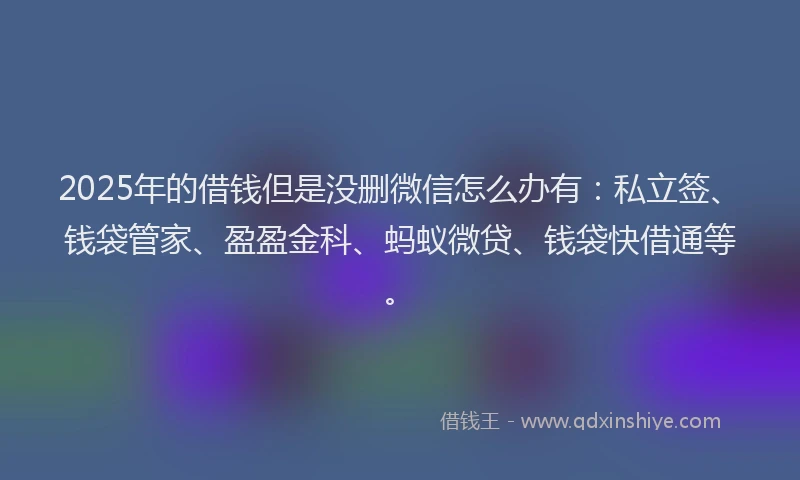 2025年的借钱但是没删微信怎么办有：私立签、钱袋管家、盈盈金科、蚂蚁微贷、钱袋快借通等。
